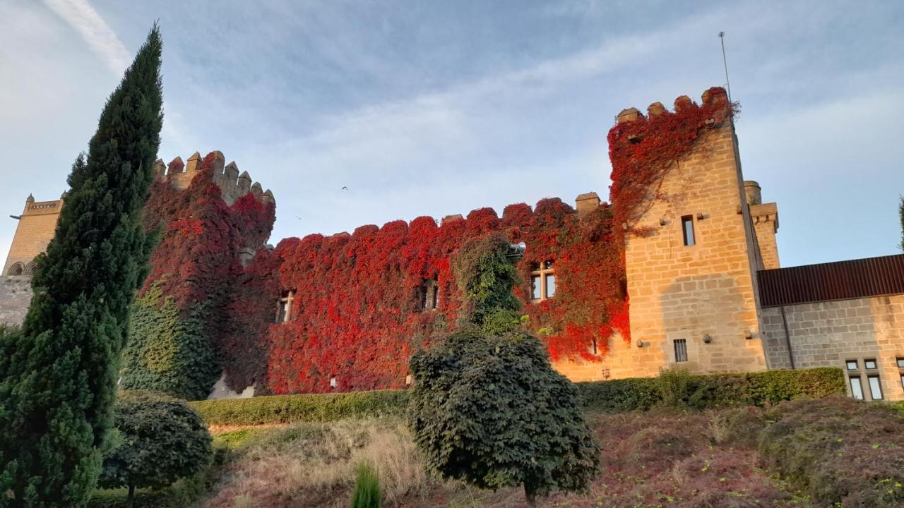 Hostal Rural Villa Vieja Olite Exteriér fotografie